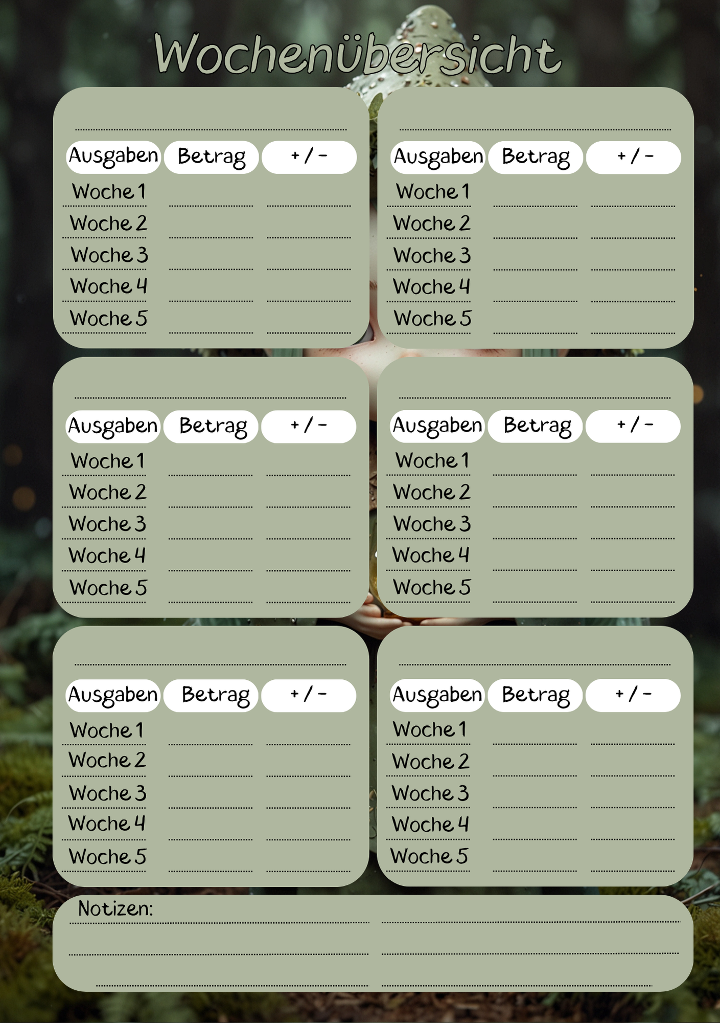 Dein Persönliches Finanzbuch für 12 Monate